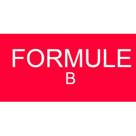 Formule B